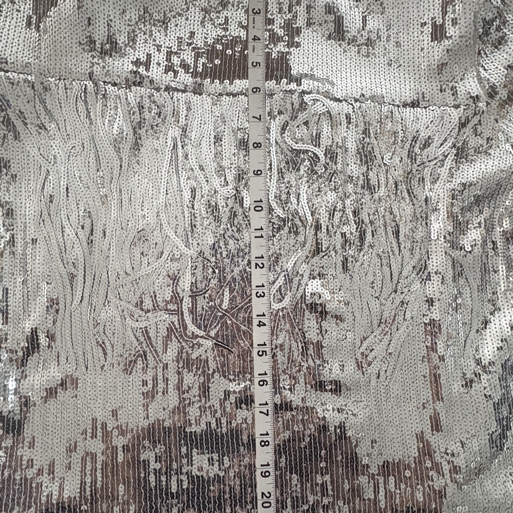 Source Unknown Shimmering Silver Fringe Blazer - Picture 5 of 5